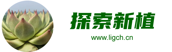 丽江的美食文化丰富多彩每一道美食都承载着当地人的智慧和情感-逛逛-健康饮食生活录-